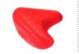 Pocket Physio - Click to enlarge picture.