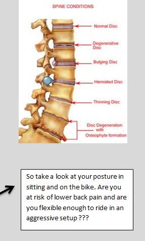 Revive Ashgrove Physio | Revive West End Physio - Posture and ...